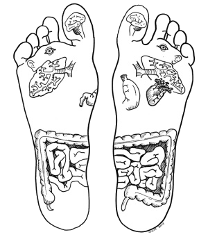 identification des zones réflexes du pied copyright vitareflexo réflexologie plantaire sur Nivelles et Saint-Amand-les eaux